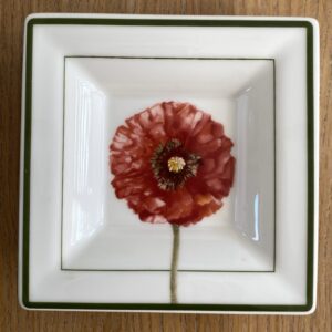 Vide-poche Villeroy & Boch, Flora, coquelicot